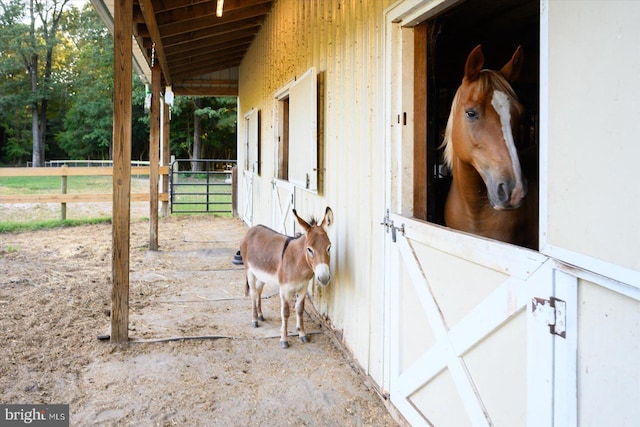 view of horse barn