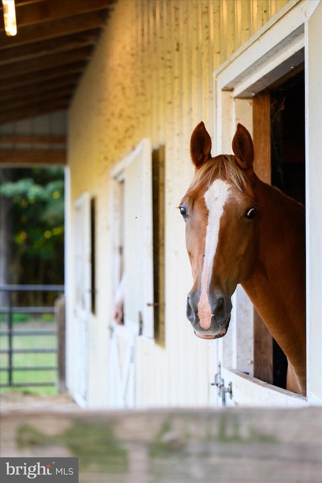 view of stable