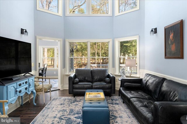 living room featuring dark hardwood / wood-style flooring and a high ceiling