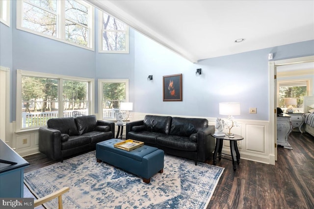 living room featuring a high ceiling and dark hardwood / wood-style floors