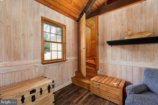 view of sauna / steam room featuring wood-type flooring