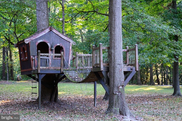 view of jungle gym