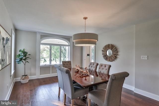 dining area with dark wood-type flooring