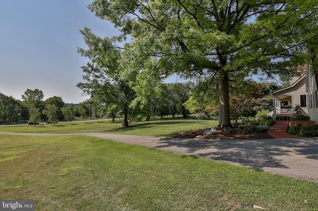 view of home's community featuring a yard