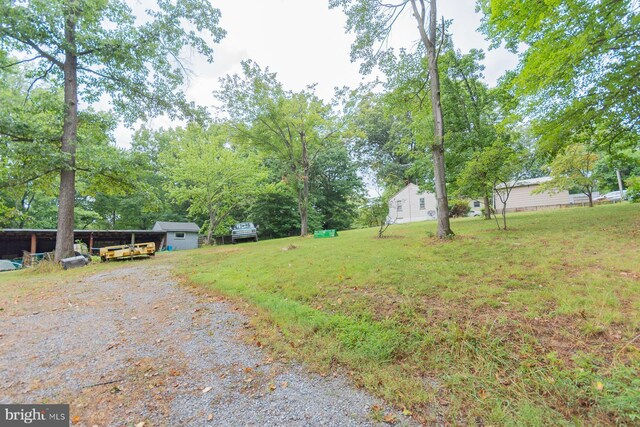 view of yard with an outdoor structure