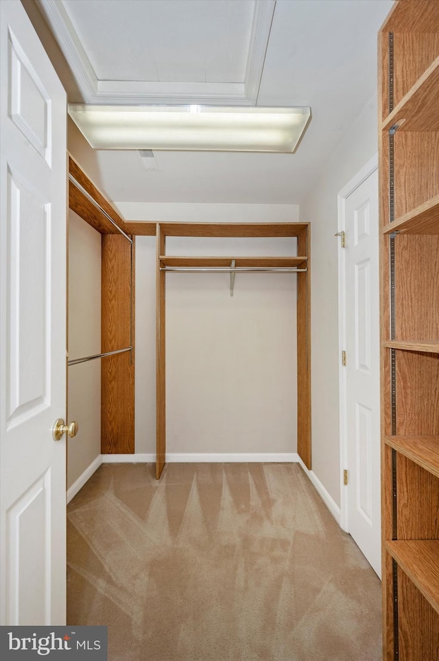 walk in closet with light colored carpet