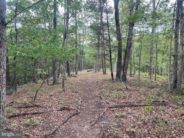 Listing photo 3 for LOT36A Red Hawk Rd, Middletown VA 22645