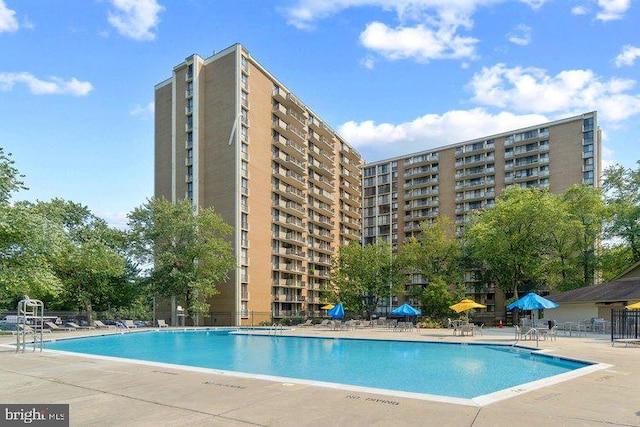 view of swimming pool featuring a patio area