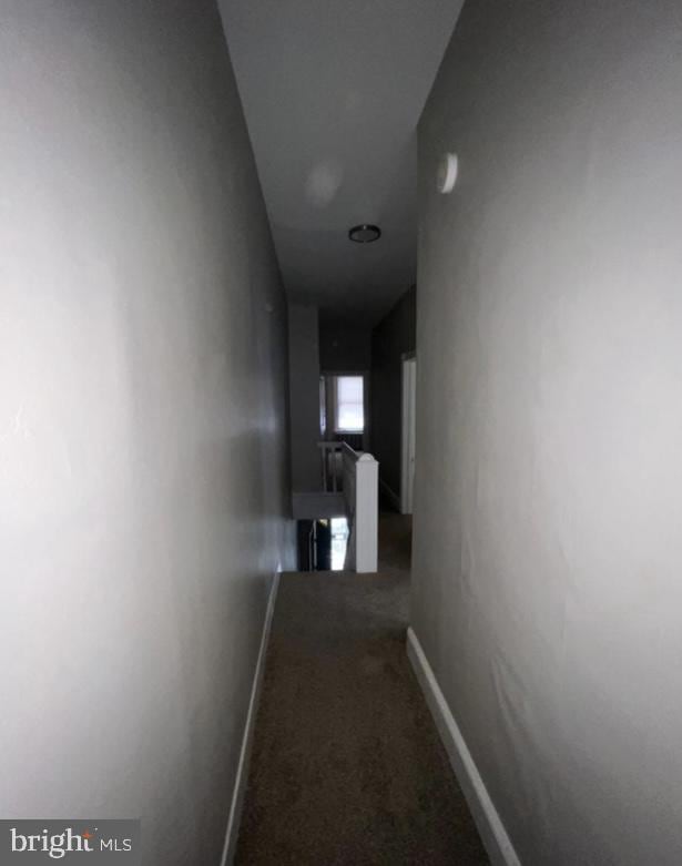 hallway with carpet flooring