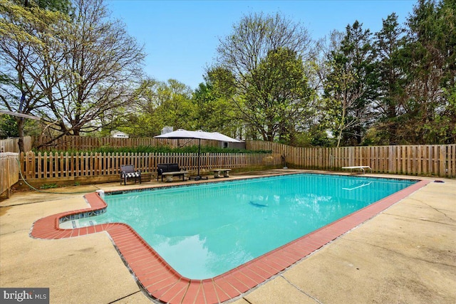 view of swimming pool featuring a fenced backyard, a fenced in pool, and a patio