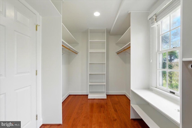 walk in closet featuring wood finished floors