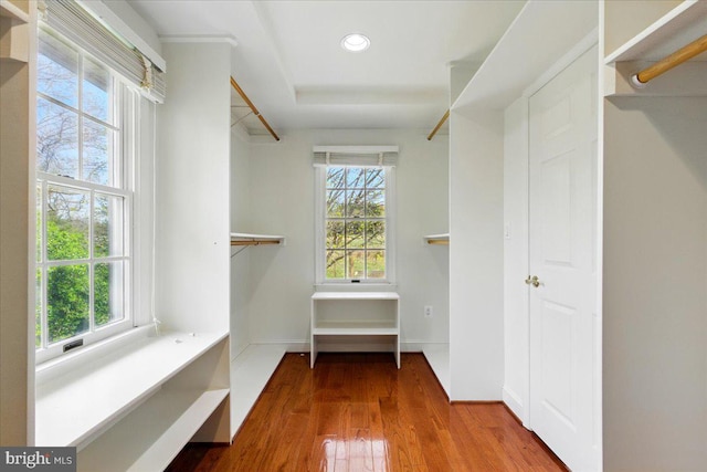 walk in closet with wood finished floors
