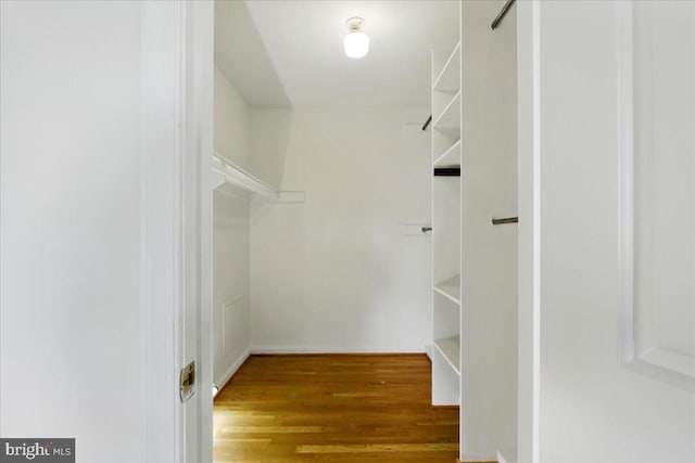 walk in closet featuring wood finished floors