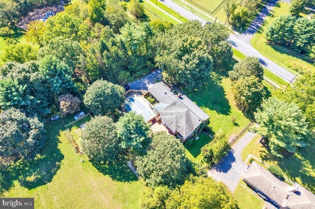 bird's eye view