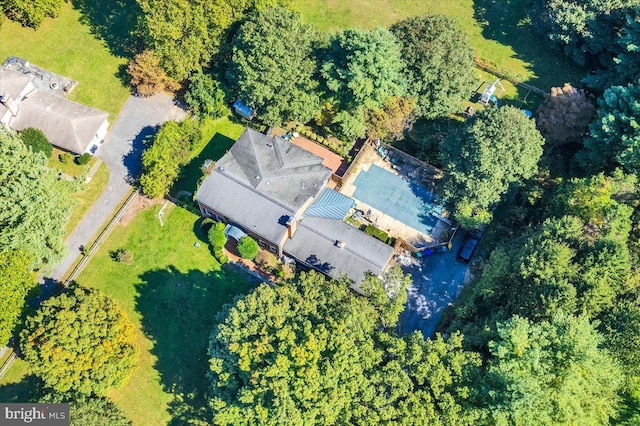 bird's eye view