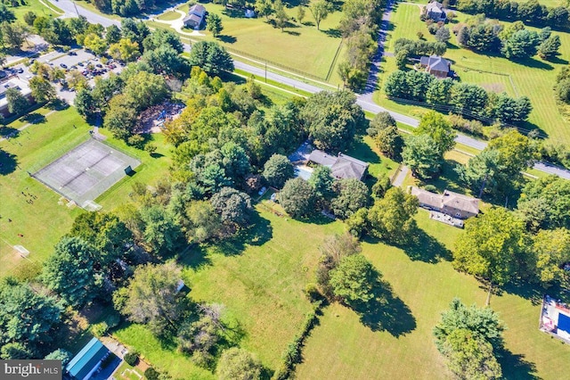 bird's eye view