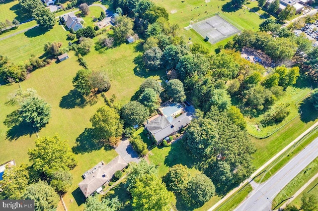 bird's eye view