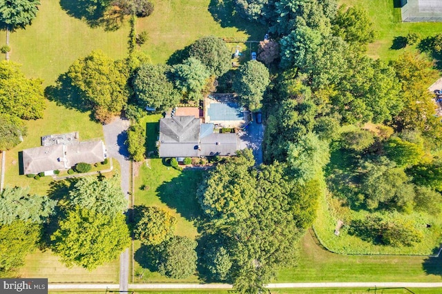 drone / aerial view