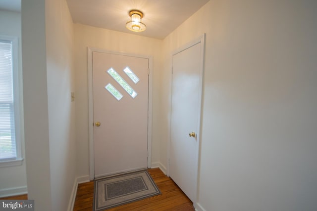 entryway with dark wood-type flooring