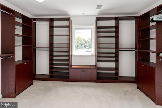 spacious closet with light carpet