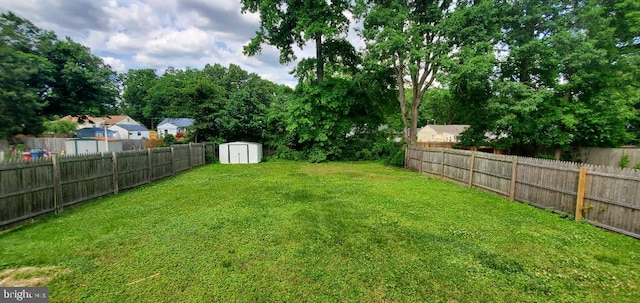 view of yard featuring a storage shed