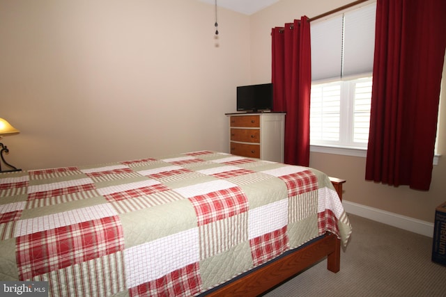 bedroom with carpet flooring