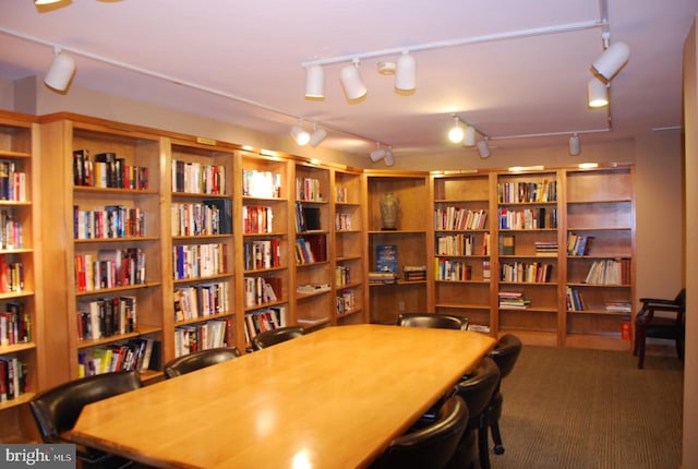 carpeted dining space with track lighting