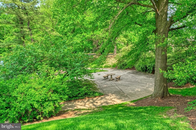 view of yard featuring a patio