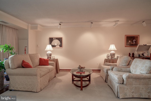 carpeted living room featuring track lighting and ornamental molding