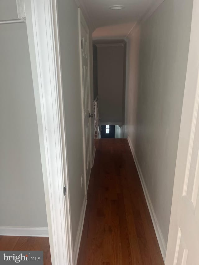 hallway with dark hardwood / wood-style flooring