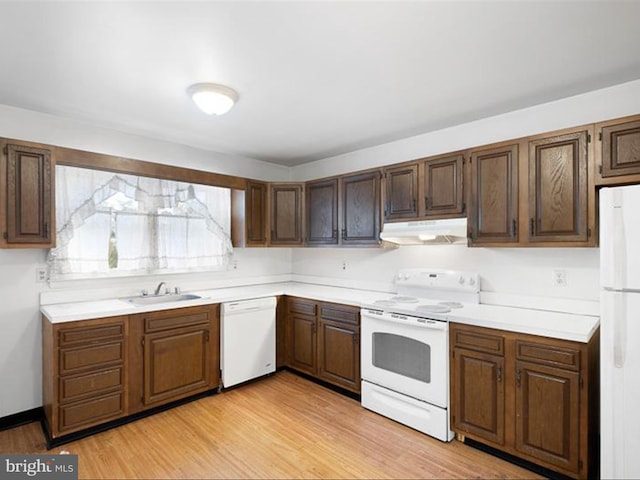 kitchen with light wood-type flooring, white appliances, and sink