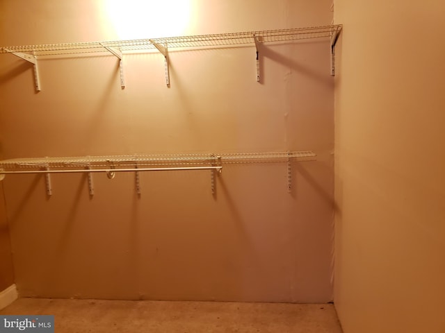 view of spacious closet