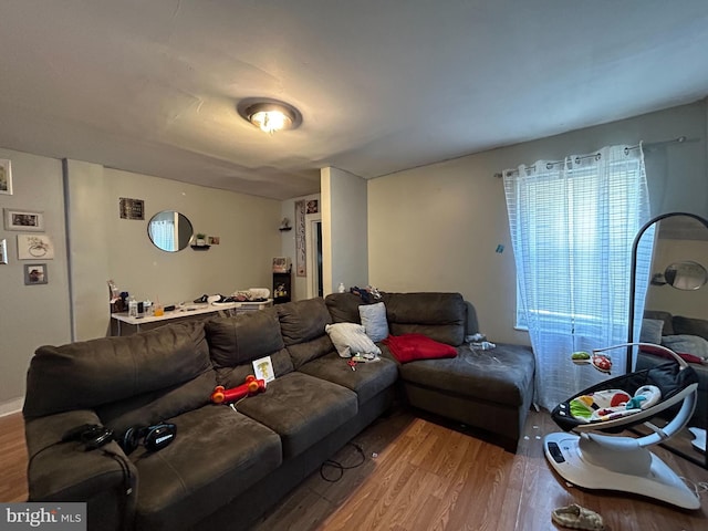 living room with hardwood / wood-style flooring