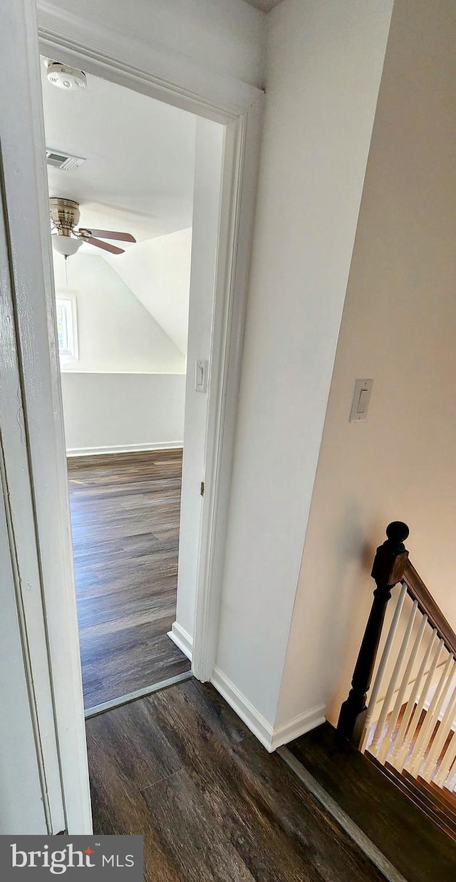 corridor featuring dark hardwood / wood-style flooring