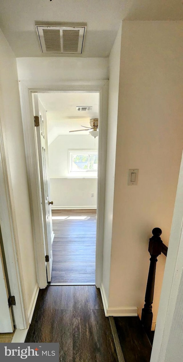 hall with dark hardwood / wood-style flooring