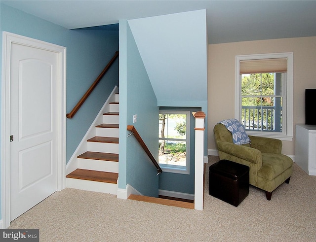 interior space featuring a wealth of natural light and carpet