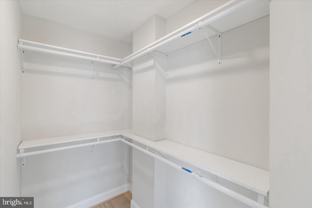 spacious closet with hardwood / wood-style flooring