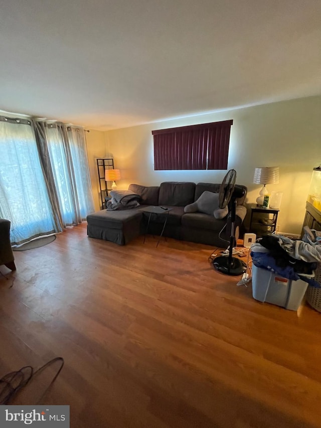 living room with hardwood / wood-style floors and a stone fireplace