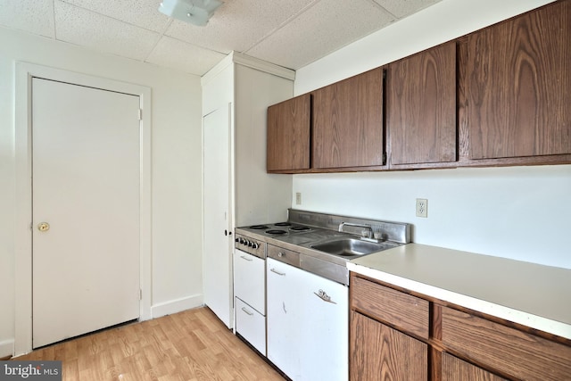 kitchen featuring a paneled ceiling, light hardwood / wood-style flooring, and sink