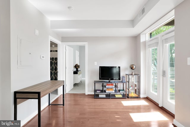 living room featuring wood-type flooring and plenty of natural light