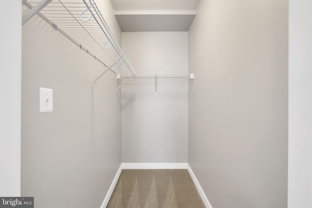 walk in closet featuring carpet flooring