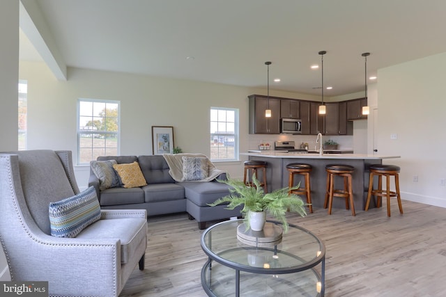 living room featuring a healthy amount of sunlight, light hardwood / wood-style floors, and sink