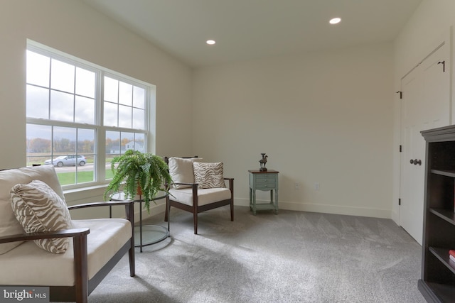 living area with carpet flooring