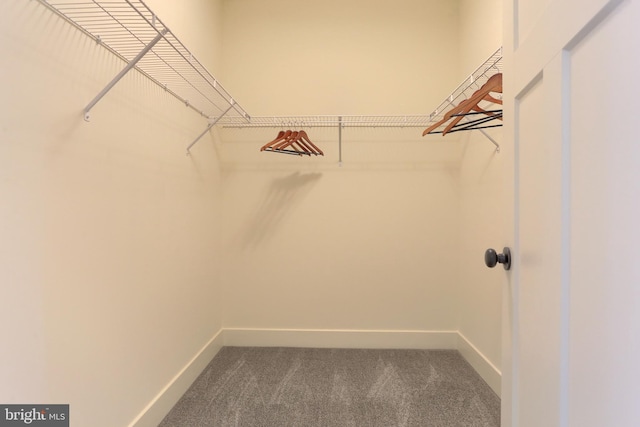 spacious closet with carpet flooring