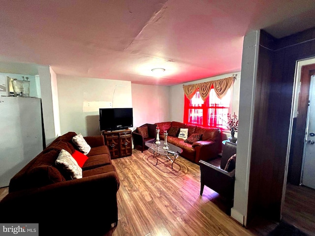 living room with wood-type flooring