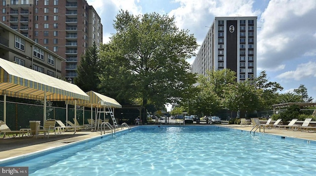 view of pool with a patio area