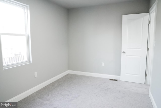 spare room with carpet and a wealth of natural light