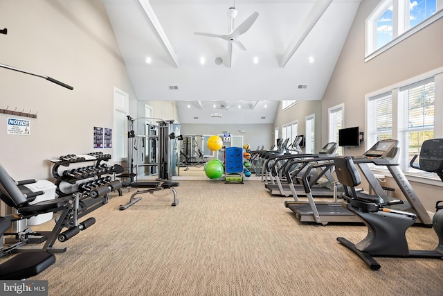 workout area featuring a healthy amount of sunlight, ceiling fan, high vaulted ceiling, and carpet floors