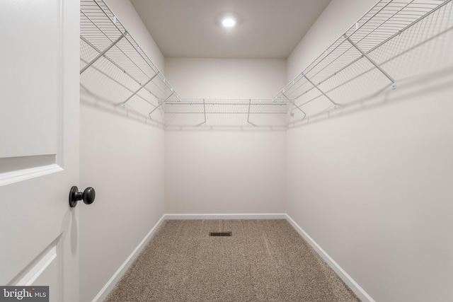 walk in closet featuring carpet flooring