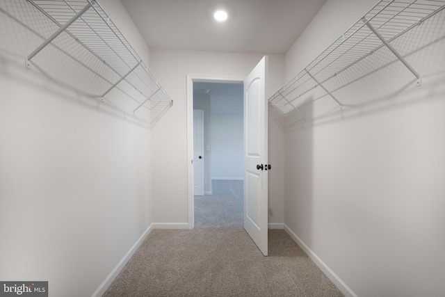 walk in closet featuring carpet flooring